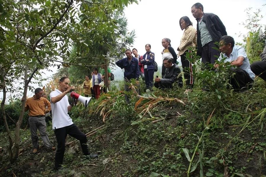 巴东金果坪乡大房坪村百余茶农茶园学技能