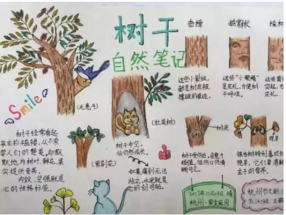 武汉人口马甲_武汉人口分布图(3)