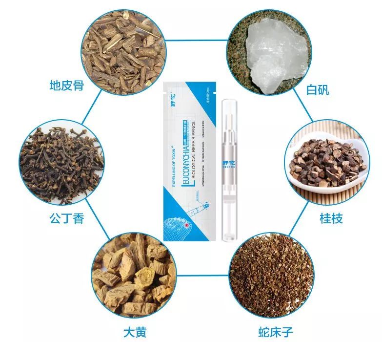 中药怎么治疗真菌 60a28f3a1051456799f9587a41f9a7f5.jpeg