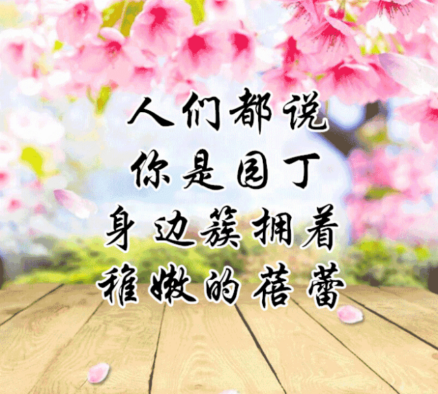今日教师节,一首《感恩的心》送给天下所有辛勤付出的