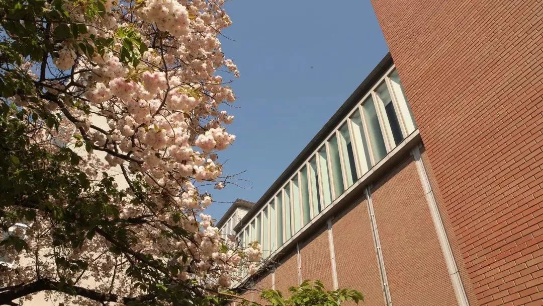 留学生采访 | 潘承飞·东京艺术大学·追逐音乐的道路