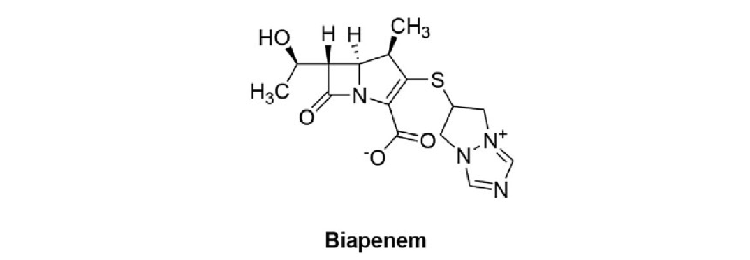 抗菌谱最广的非典型β内酰胺类抗生素碳青霉烯类抗生素家族概览