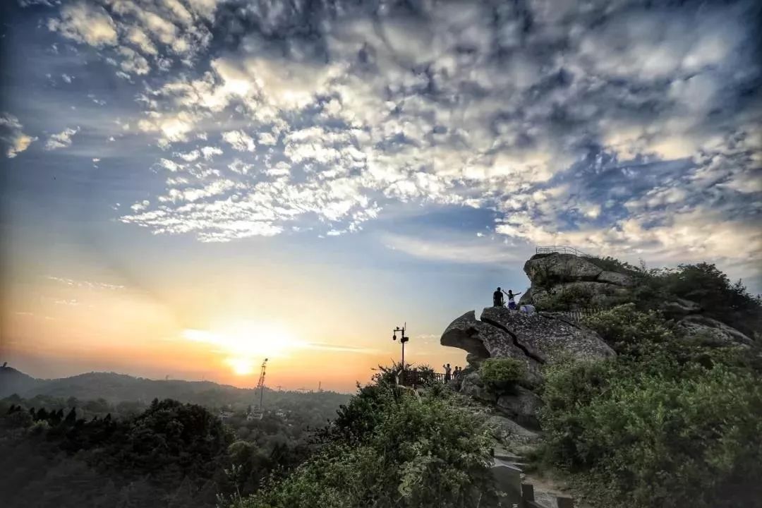 资格证即可免景区门票鸡公山桃花寨景区(只需购买5元保险)办理地点