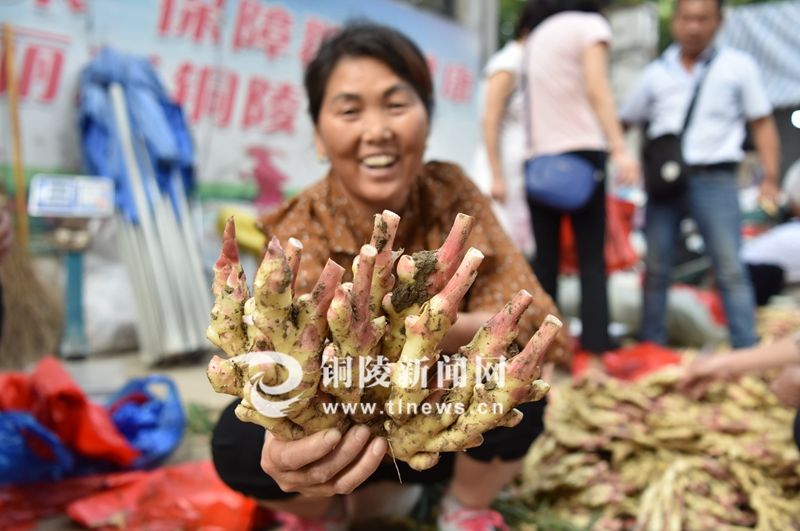 铜陵白姜是国家地理标志产品,也是铜陵"八宝"之一,在