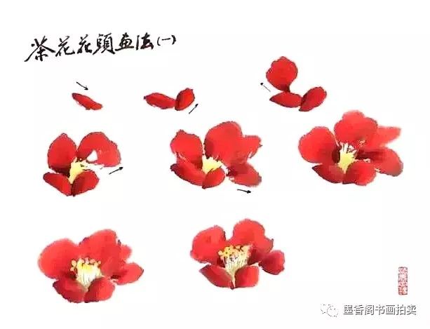 国画教程写意茶花的画法