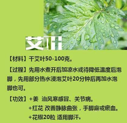 94f954d5fdf842c7ae89716bd07476a9.jpeg