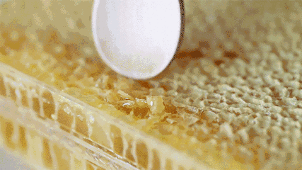 9c6136d2a95a4401ab853eccedd3c505.gif