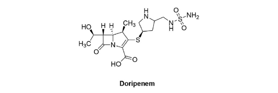 抗菌谱最广的非典型β-内酰胺类抗生素—碳青霉烯类抗生素家族概览