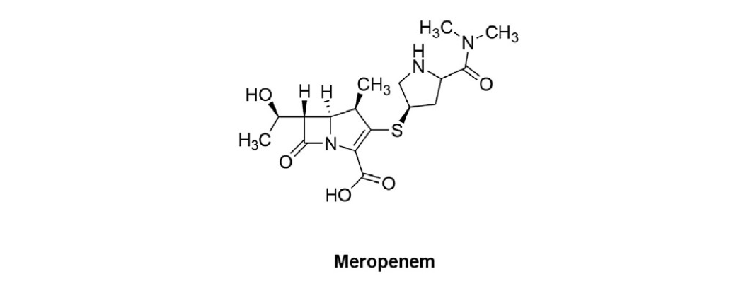 美罗培南结构美罗培南是第一款可单独使用的碳青霉烯类抗生素,其对