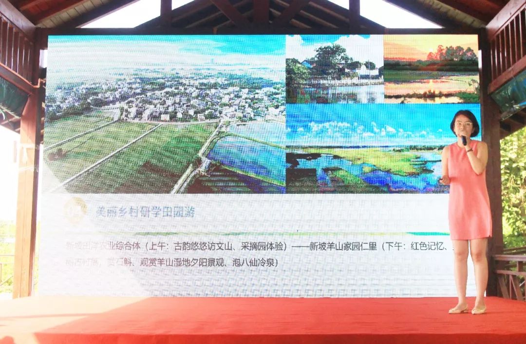 2019年海口市龙华区gdp_海口市龙华区地图(2)
