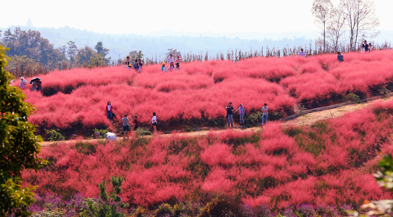 地址:夷陵区鸦鹊岭镇东西泉村 教师节优惠政策: 9月7日--9月15日,凭