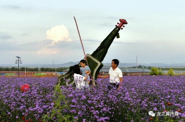 指筝朝夕寻梅老慢 拍摄场地:水泉润泽花海亲友相邀帮您记录温馨瞬间