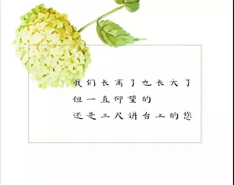 教师节 | 你超可爱,我超喜欢