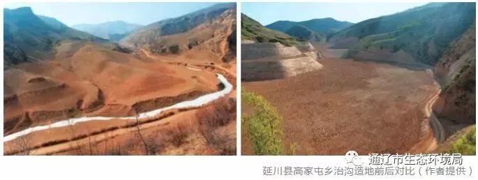 修复革命圣地的沟沟壑壑陕西延安市在退耕还林和治沟造地中实现多赢