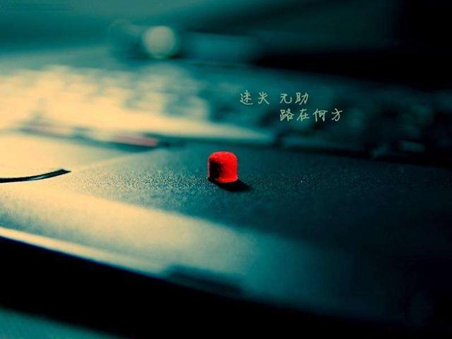 再幸福,背后也有苦楚,再风光,内心也有无奈.