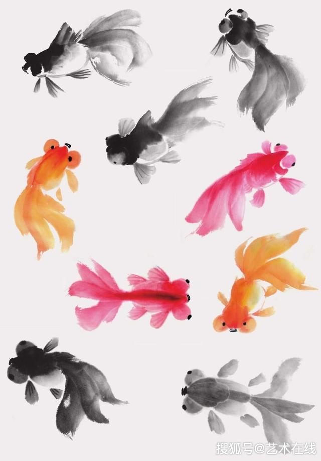 五种常见的鱼类国画画法图解讲解