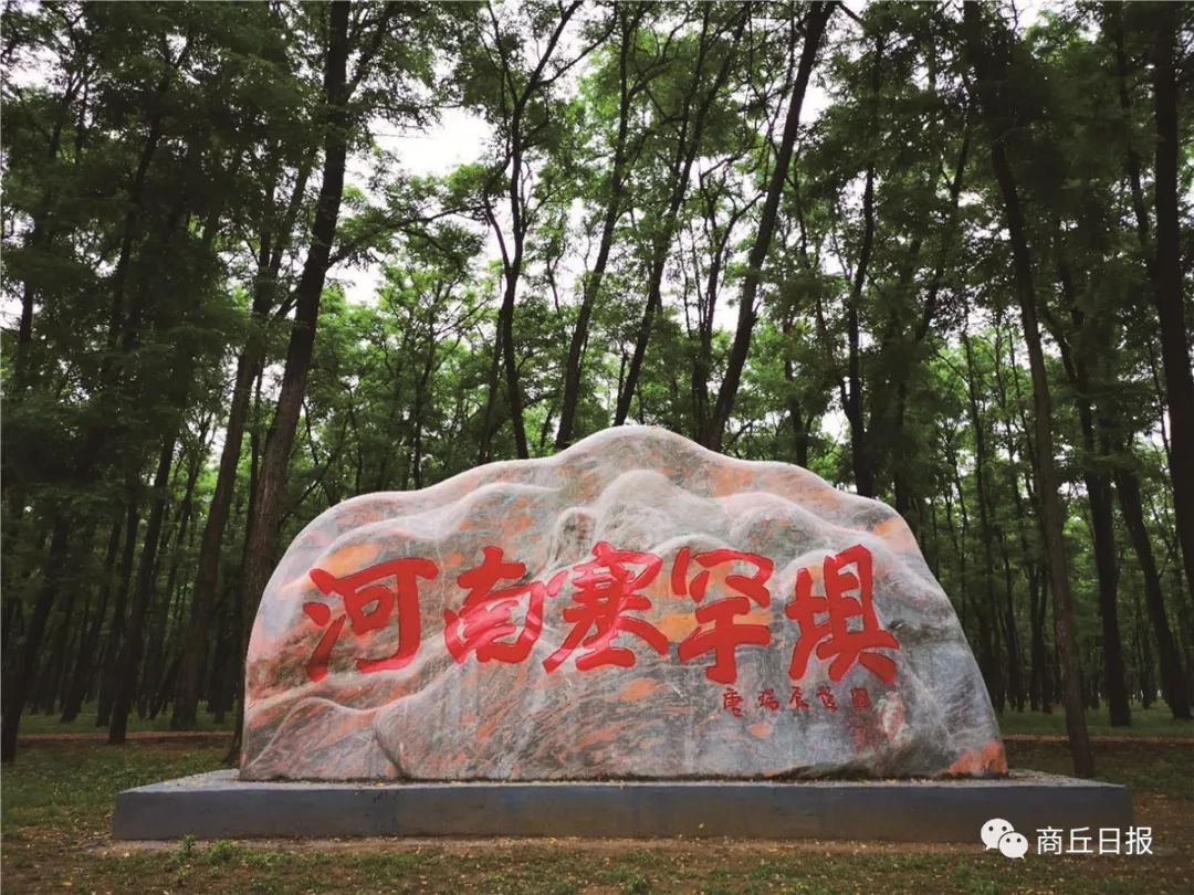 记者 傅 青 摄 商丘黄河故道有 国家级森林公园,国家湿地公园 万顷