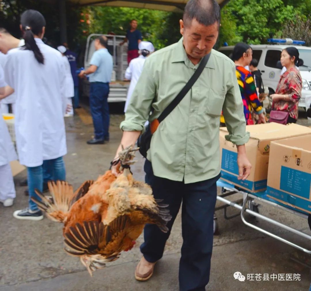 旺苍县中医医院以实际行动助力脱贫攻坚,集中购买群花村跑山鸡近千只