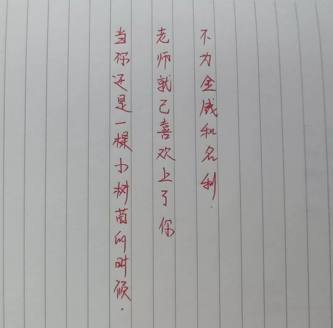 现实这些老师的三行情书吐露心声句句真相