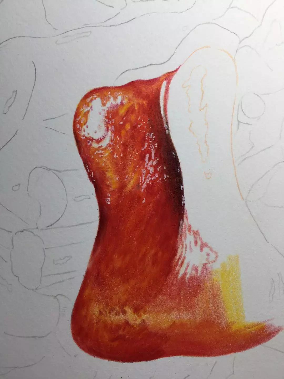 然后因为是猪肉,表皮比较光滑油油的,画的时候不要刻意画出彩铅的笔触