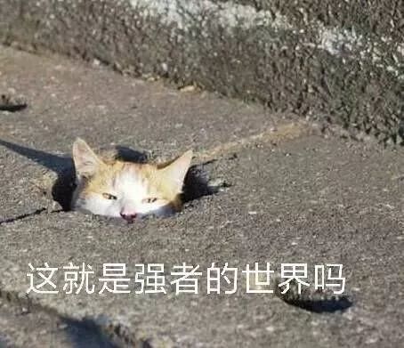 0a838a4ad8c043dcb47dc6348d029608.jpeg