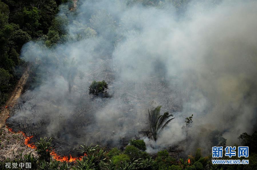 巴西亚马孙雨林大火持续航拍被烧毁的雨林林地