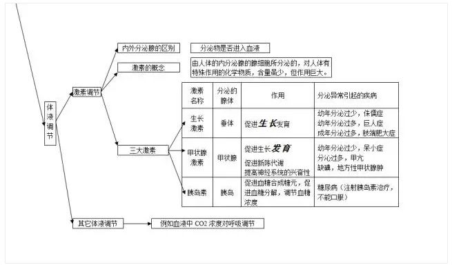 人口城乡结构类型_人口结构类型图片(3)