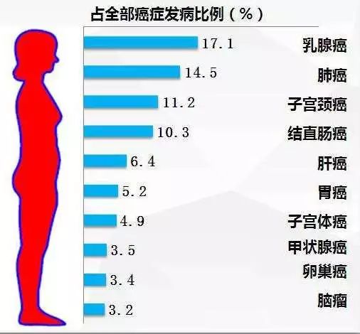 50岁以上人口患病率死亡率_高血压病患病率死亡率(2)