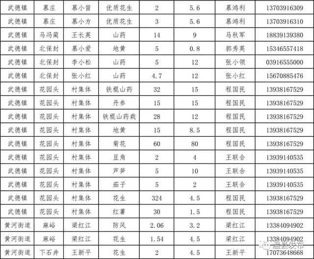 温县人口_焦作温县事业单位招聘工作人员71人,不限专业岗众多