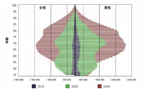 中国老年人口比例2040_2021年老年人口比例图(2)