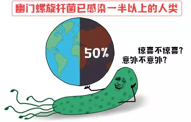 什么食物能杀幽门螺杆菌 33ee6ad5d5ee48e6a9018e68bc84efc6.jpeg