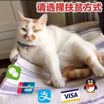 37821cebff2d423a8bcad5c4c0b4d2e3.jpeg