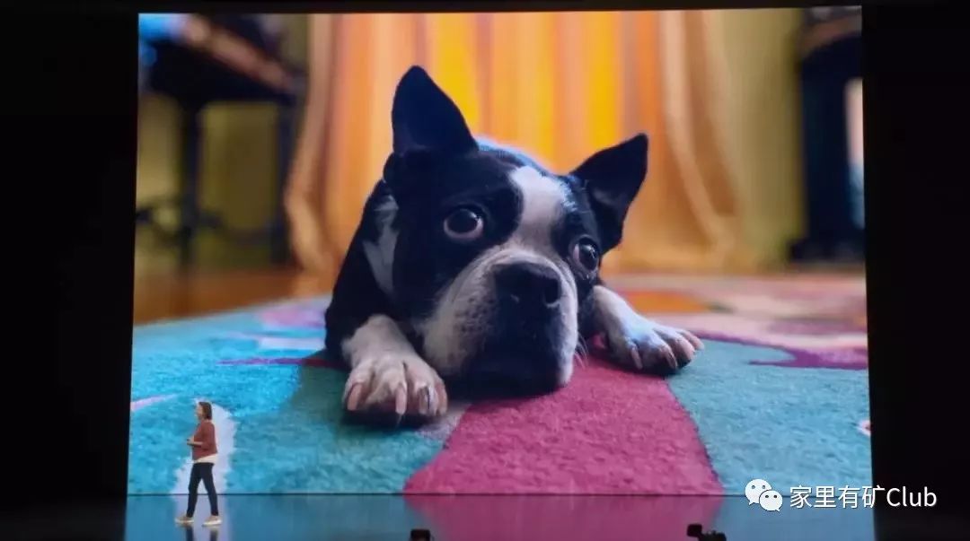 iPhone11����,������ǿ����,������?(ȫ�����)