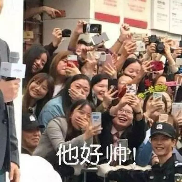 饭圈文化的泛滥,究竟毁掉了什么