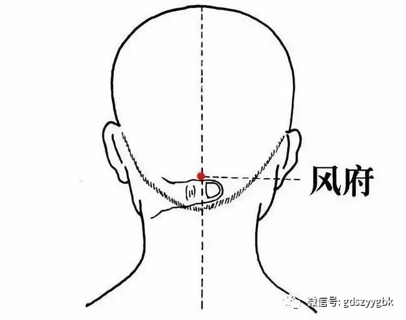 【白露节气穴位篇】风府穴,散风熄风,通关开窍