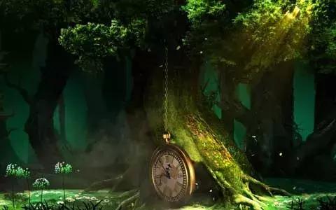 走进现实版爱丽丝梦游仙境探索一场奇妙之旅