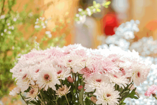 镇宁路217号  137元  021-33531773  周一至周六 10:00-17:00 18:00