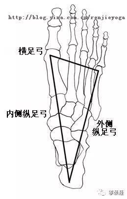 趾什么前成语_趾疣是什么(3)