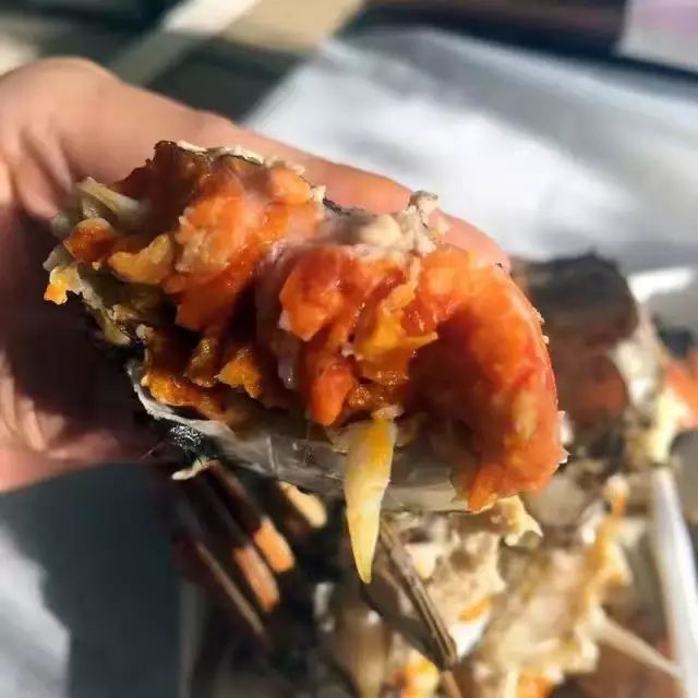 蟹黄蟹膏非常饱满,给你最好的口感