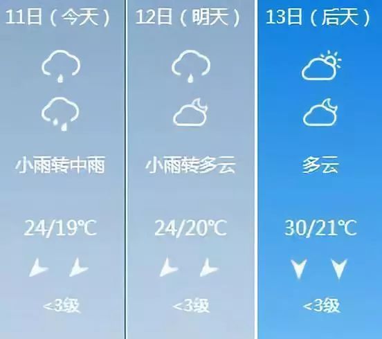 737300c4c50544d38a783f720a01e6aa.jpeg