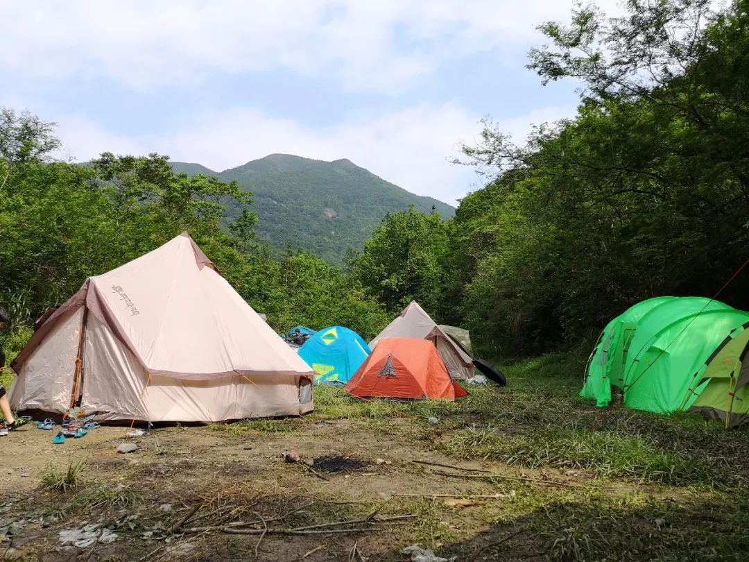 森林营地怎么搭_森林旅居营地(2)