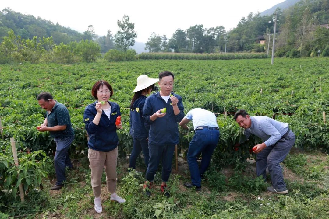 南漳人口概况_南漳水镜庄图片(2)