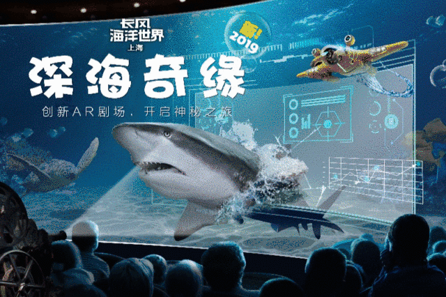 长风海洋世界 国家4a级景区,集大型海洋动物表演与水族馆鱼类展览为
