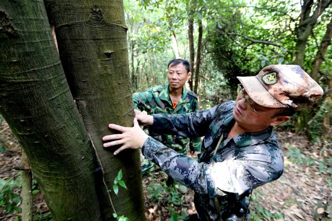 峡江人口数_峡江中学毕业照