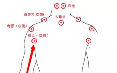 肩贞穴是小肠经的常见堵塞点,随时探查可以知晓经络的畅è情况.