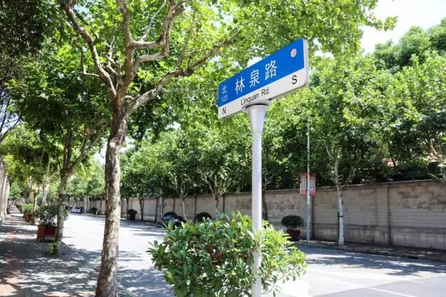 阿拉长宁的仙霞路(古北路-威宁路)被命名为2019年上海市林荫道,正在