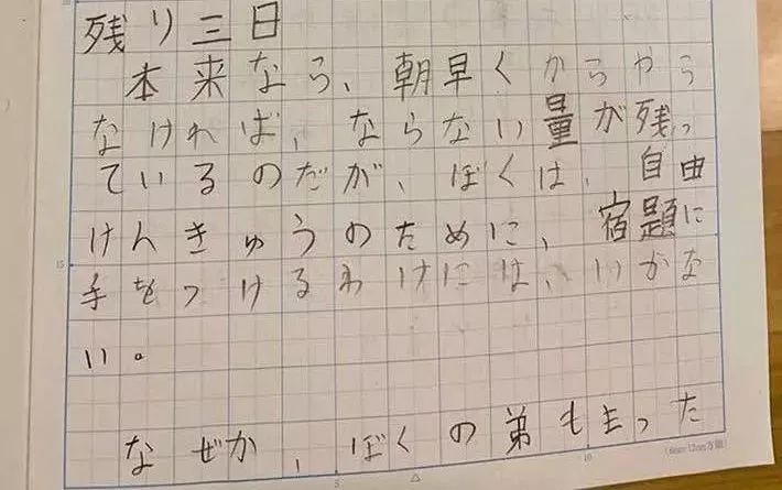 日本一小学生疯玩一暑假没写作业 开学在即 正为作业发愁时 突然灵机一动 研究