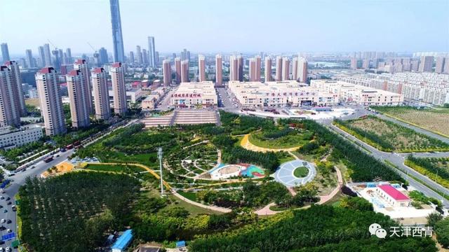 天津市王稳庄镇GDP_天津市西青区王稳庄镇(3)