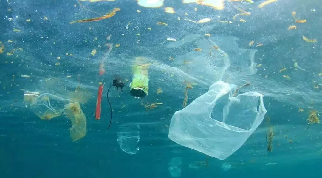 "洁时代"反攻海洋污染|用科学的方法"吃掉"塑料_垃圾