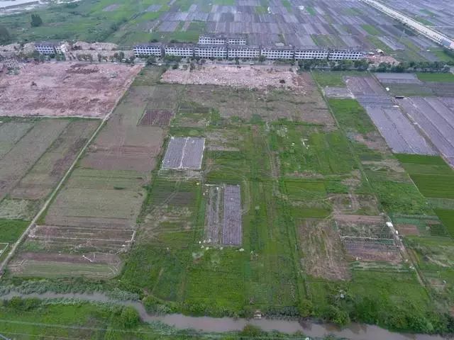 临海"熊出没"小镇开建在即!